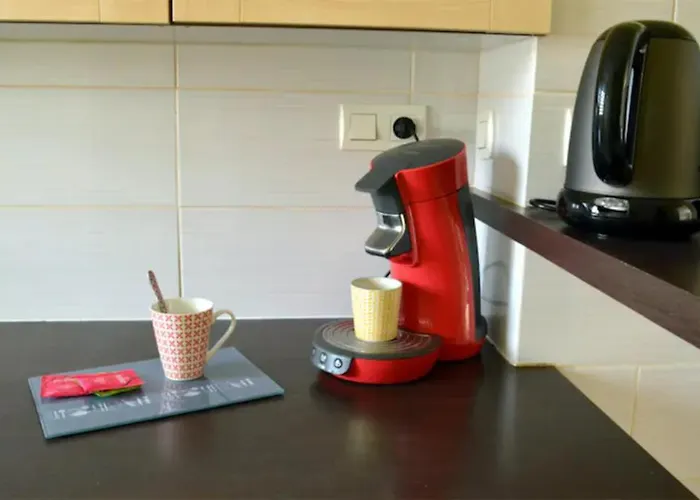 Maison St Eloi By Izili *futuroscope*jardin* Poitiers